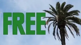 Free Things In LA