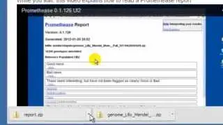 promethease 2013 0.1.156