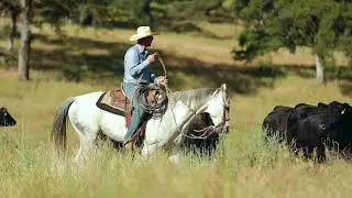 Bruin Ranch - Program Philosophy