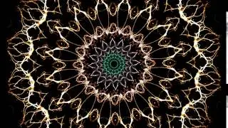 Mirrored Trees Series: Mandala in Motion 2