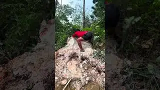 Wow!! Found Gold in the River!! Natural Treasure worth millions of dollar #gold #goodvibes #fyp