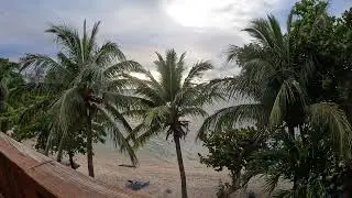 Roatan Sunset through the Trees in West Bay (Christmas Eve 2021)