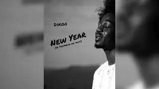 Dikoo - New Year ( audio slide ) 