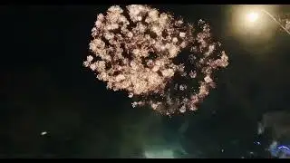 Wanneroo show - firerwork 2023 ✰