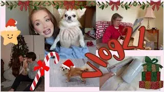 VLOGMAS DAY 5 - WE GOT A SON! Meet Alfie, X-mas Day, Santa + New Look Hauls 🎄🎁🐾✨