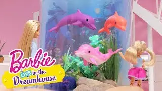 Accidentally on Porpoise | Barbie LIVE! In the Dreamhouse | @Barbie