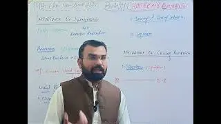 Importance of Fermentation |Cellular Respiration| Lec #6|Biology Chapter 8 |9th Class |New Book 2025