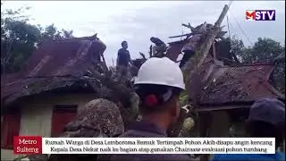 Breaking News: Rumah warga di Desa Lemboroma Morowali Utara remuk tertimpah pohon