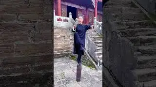 Wudang Kung Fu, balance training #kungfu #martialarts