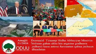 ODM :Oduu Amajjii 21/ 2026