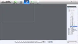 SmartPSS - How to reconnect LiveView cameras