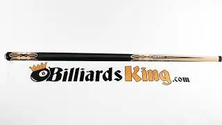 Dufferin D-SE19 Pool Stick - Cue View 360 - 4K Ultra HD Rotating 360 Degree Wide View