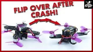 How to set up Turtle Mode on your Gremlin Quad | FLITE TEST