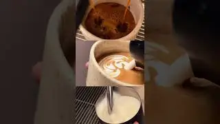 From Bean to Cup of Coffee