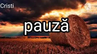 Negativ pune Doamne Dragoste-ntra frați,{Cristi}2024