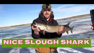 ANOTHER AWESOME DAY ICE FISHING WITH OUR  BEST BUDDIES ALBERTA