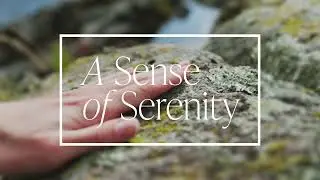 A Sense of Serenity | Meditative Story