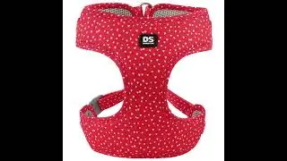【Factory Direct】7-piece pet collections - Fully Customizable!