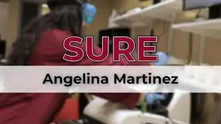 Angelina Martinez's Innovative Biochar and Soil Research at Lewis University
