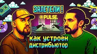 Музыкальный дистрибьютор изнутри. Залетели в Pulse