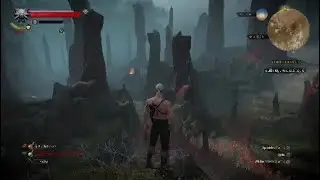 Witcher 3 wild hunt out of bounds