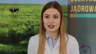 Energetyka  jądrowa i odpady promieniotwórcze | 24. Piknik Naukowy