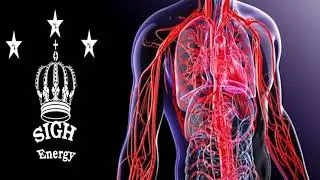 Circulatory System Regenerator 2.0 EXTREMELY POWERFUL!!! (Energetically Programmed)