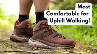 Top 5 Best Budget Hiking Shoes for Outdoor Adventures