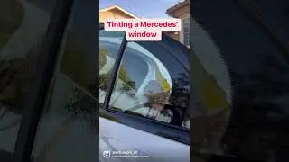 Tinting a 2023 Mercedes quarter window❗️ #windowtint #cartinting #mobile #windowtinting #tinting