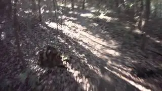 Novi Tree Farm
