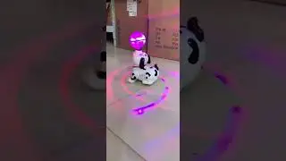 Buy Cable World&reg; Dancing Dog Toy with Music Flashing Lights(Multi Color)