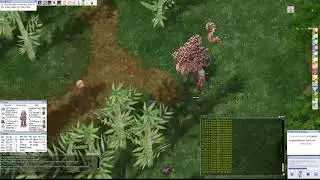GX - Faceworm Instance (100% Perfect Dodge)