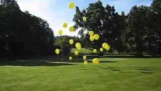 opptak ballonglogoen.mp4