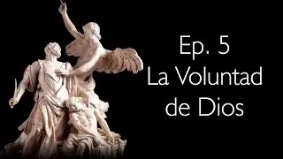 La Voluntad de Dios - Perseverancia