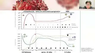 Las Etapas de la Infección por VIH: Ciclo Viral y Progresión
