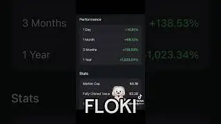 FLOKI memecoin on Ethereum #dogcoins #crypto