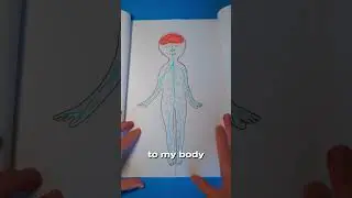 DIY book about My Body 📘🫁