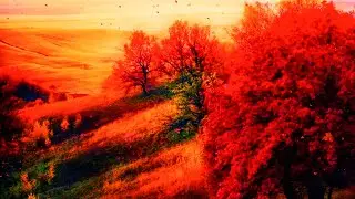 Fantasy Background |  Miracle Piano Music |  Calming Piano Music for Stress Reduction - Our journey