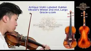 Gracie-s.com 🎻 Antique Guldan Violin | Luthier Re-Graduated: American Craftsmanship