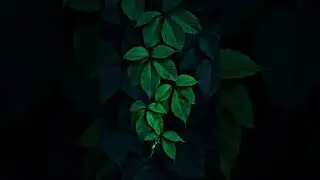 [FREE] DARK EMOTIONAL TYPE BEAT - ROOTS (PROD BY MAZENGER)