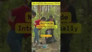 From Deforestation to Activism: The Story of Chipko Movement #shorts