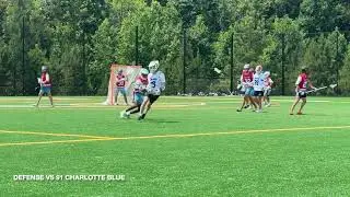 Summer 2025 Gavin Lane Highlights