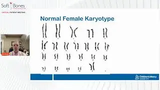 2021 Patient Meeting: HPP Overview and Genetics
