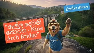 &ldquo;Ella Nine Arch Bridge 🇱🇰 | පුදුමම Train View එක! | Travel Doggy SL &ndash; Episode 2&rdquo;