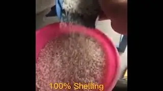 Hot sale paddy automatic diesel engine flour 2 ton per hour rice mill plant price rice mill