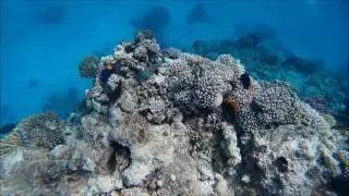 Actioncam Apeman A66  (&Uuml;ber- und Unterwasser + Bilder)