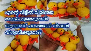 കോഴിയമ്മ അടയിരുന്നത് താറാമുട്ടയ്ക്കോ??#duffycraft#diy  #craft