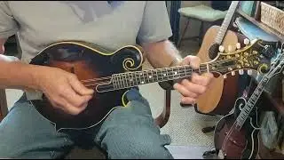 Kitchen Girl - Dave Herzog - Mandolin