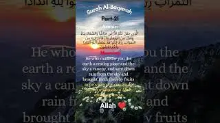 Read Qur'an but read with meaning and understanding. #allah #freepalestine #fyp #trendingshorts