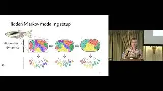 Modeling genetic drift and selection in spermatogonial stem cell dynamics | Connor Shrader